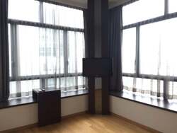 Soleil @ Sinaran (D11), Condominium #313041181